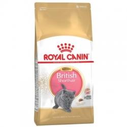 Royal Canin Kitten British Shorthair kassitoit 2kg