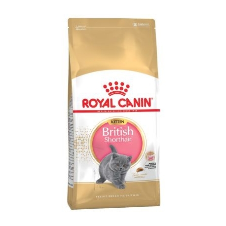 Royal Canin Kitten British Shorthair kassitoit 2kg Royal Canin Kitten British Shorthair kassitoit 2kg