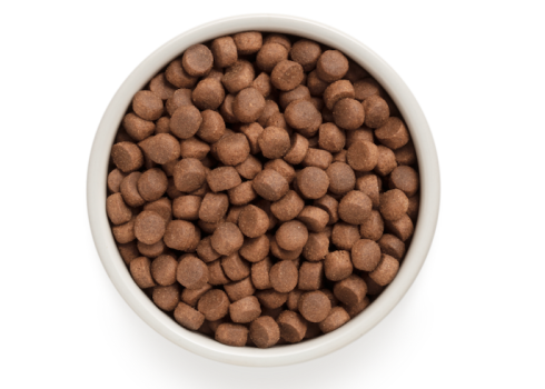 Grandorf Dog - Pardiliha ja bataat 3kg - Adult koeratoit