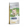 Bozita Kitten Grain Free kassitoit 2kg