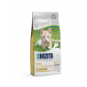 Bozita Kitten Grain Free kassitoit 2kg
