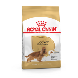 Royal Canin Cocker 25 Adult 12kg koeratoit, Royal Canin koeratoit