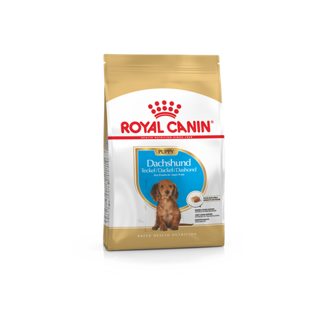 Royal Canin Dachshund 30 puppy koeratoit, spetsiaaltoit taksikoerale Royal Canin Dachshund 30 puppy koeratoit, spetsiaaltoit taksikoerale