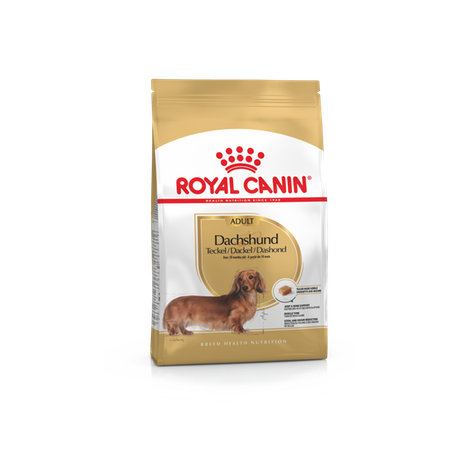 Royal Canin Dachshund 28 Adult koeratoit, spetsiaaltoit taksikoerale Royal Canin Dachshund 28 Adult koeratoit, spetsiaaltoit taksikoerale