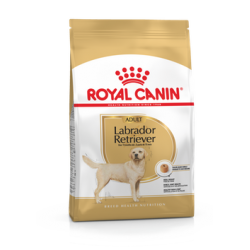 Royal Canin Labrador Retriever 30 Adult koeratoit, labradori koeratoit