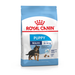 Royal Canin Maxi Junior 15kg koeratoit, koeratoit suurele koerale