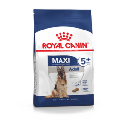 Royal Canin Maxi Adult 5+ 4kg koeratoit, koeratoit vananevale koerale