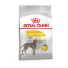 Royal Canin Maxi Dermacomfort 12kg koeratoit, koeratoidud