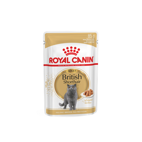 Royal Canin FBN BRITISH SHORTHAIR WET kassitoit 12x85g