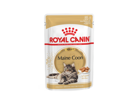 Royal Canin FBN MAINE COON WET kassitoit 12x85g