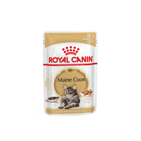 Royal Canin FBN MAINE COON WET kassitoit 12x85g