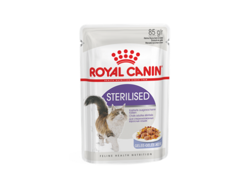 Royal Canin FHN STERILISED in Jelly 12x85G kassitoit