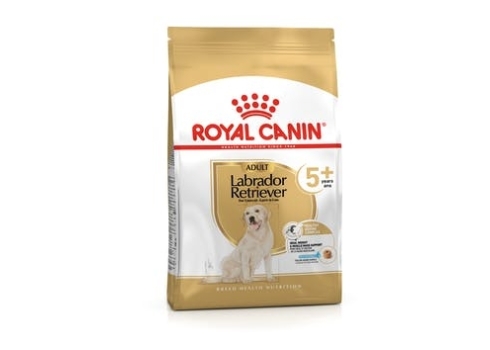 Royal Canin LABRADOR RETRIEVIER ADULT 5+ koeratoit 12kg