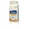 ADVANCE kassipojatoit 10kg, kassitoit, toit kassipojale