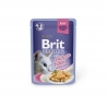 Brit Premium Cat Delicate Fillets in Jelly with Chicken märgtoit kassidele 24x85g