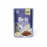 Brit Premium Cat Delicate Fillets in Jelly with Beef märgtoit kassidele 24x85g